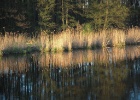 Picture 041